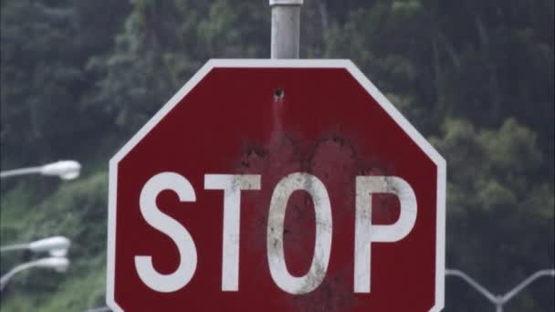 Inclinando Stop Cartello Stradale California Ave — Video Stock