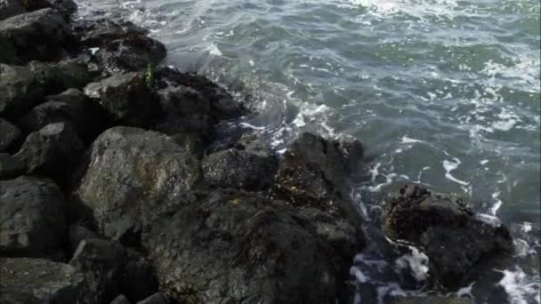 Жорсткий Знімок Хвиль Скелястому Березі Сонячний День — стокове відео