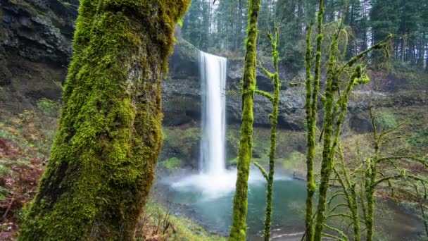 Timelapse Постріл Водоспадом Басейн Срібло Falls State Park Штат Орегон — стокове відео