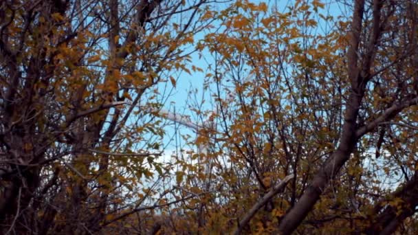 Grande Turbina Eólica Vista Através Árvores Outono — Vídeo de Stock