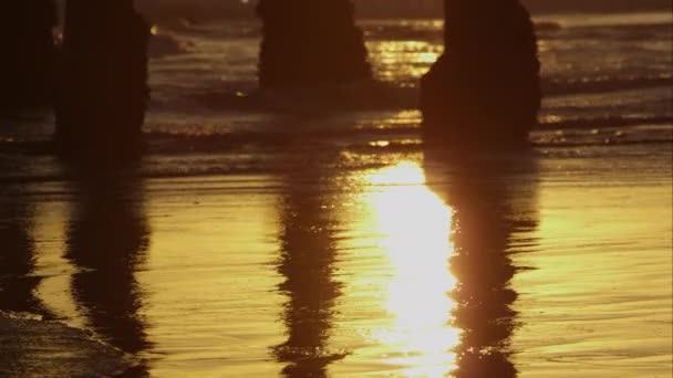 Vågorna Tvätt Shore California Stranden — Stockvideo