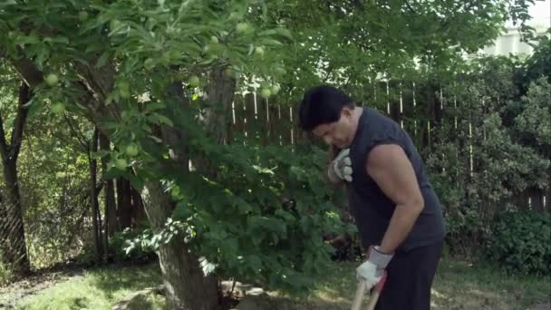 마당에서 남자는 통증에 나무를 트리밍 — 비디오