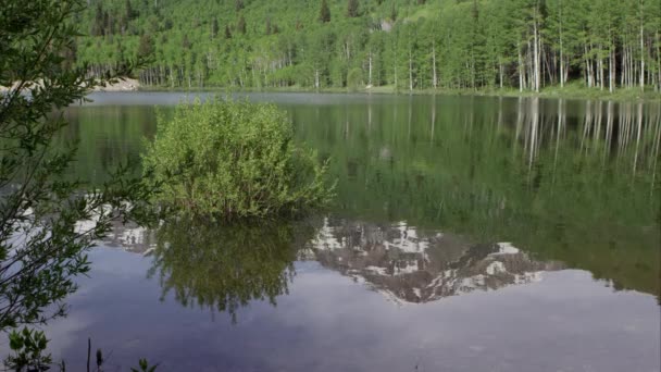 Montanha Refletindo Lago Com Floresta Fundo Utah — Vídeo de Stock