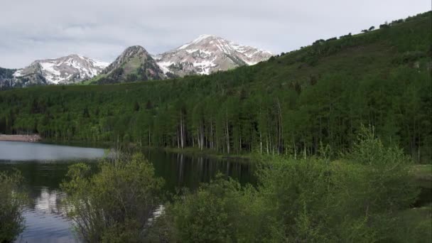 Vista Aérea Sobrevoando Arbustos Descendo Direção Lago Nas Montanhas Utah — Vídeo de Stock