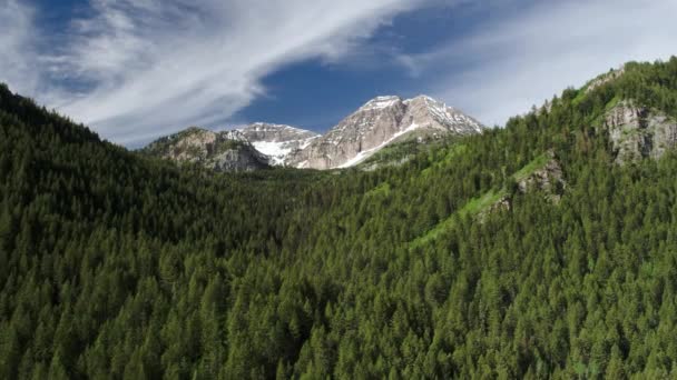 Widok Lotu Ptaka Nad Zielonym Lasem Sosnowym Kierunku Góry Utah — Wideo stockowe