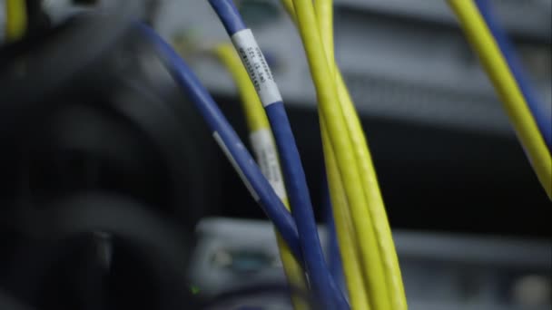 Uitzicht Blauwe Gele Netwerkkabels Pannen — Stockvideo