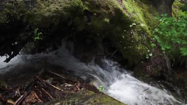 Panoramowanie Przeszłości Zielony Mossy Bank Ujawniając Potoku Spływający Strumień Górach — Wideo stockowe