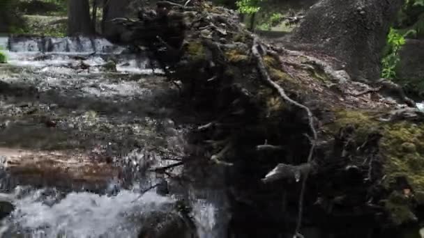 Vista Panorámica Del Arroyo Que Fluye Río Abajo Las Montañas — Vídeos de Stock