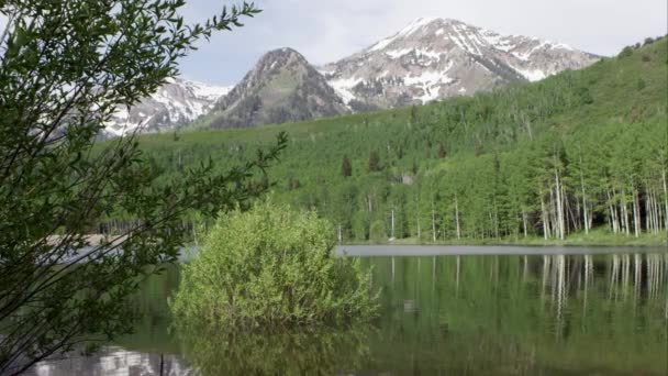 ユタ州の山と湖の間の緑の森の静的な眺め — ストック動画