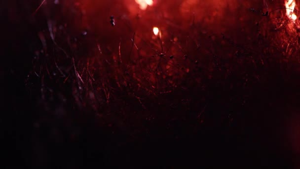 火が繊維を通って移動するように燃えるスチールウールのマクロ — ストック動画