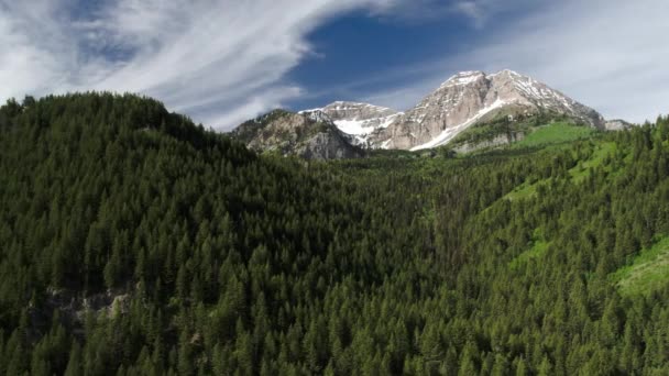 Widok Lotu Ptaka Góry Lasem Sosen Utah — Wideo stockowe