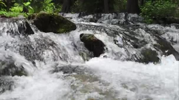Vista Ascendente Del Río Con Hojas Verdes Musgo Las Montañas — Vídeos de Stock