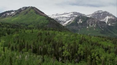Utah dağ tops doğru yeşil orman üzerinde uçan havadan görünümü.