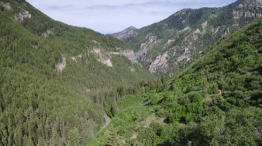 Yeşil ağaçlar ile American Fork Kanyon üzerinden uçan havadan görünümü.