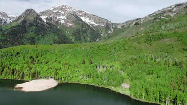 Utah Yeşil Orman Ile Çevrili Dağlara Doğru Göl Üzerinde Havadan — Stok video