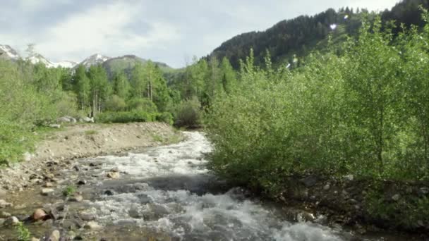 Panning Vista Del Fiume Nel Paesaggio Montano Nello Utah — Video Stock