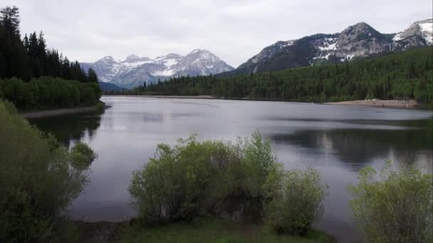 Vista Aérea Volando Sobre Lago Rodeado Bosques Verdes Montañas Utah — Vídeo de stock