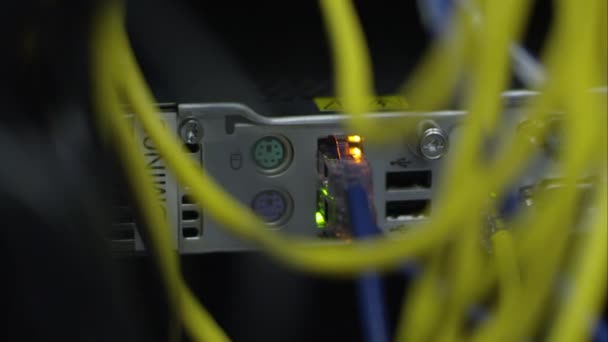 View Network Cable Hardware Showing Blinking Lights — Stock Video
