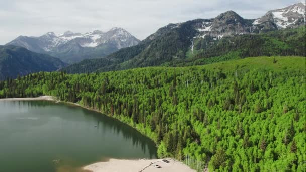 ユタ州の緑の森と山々に囲まれた湖の航空写真 — ストック動画