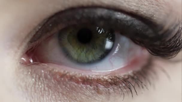 Macro Vista Dell Occhio Della Donna Sotto Illuminazione Dello Studio — Video Stock