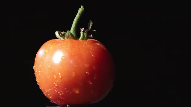 Mouvement Lent Tomate Étant Tiré Avec Pistolet Air — Video