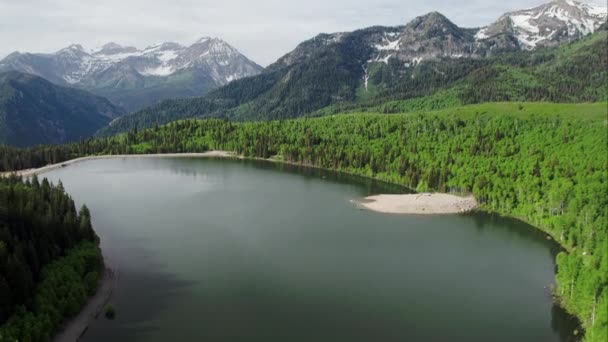 Utah Yeşil Orman Dağlarla Çevrili Gölün Havadan Görünümü — Stok video