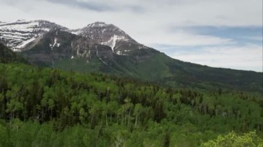 Utah dağın tepesine doğru yeşil orman üzerinde uçan havadan görünümü.