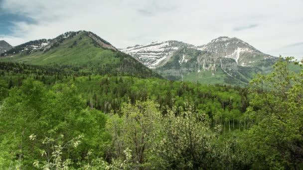 Utah Kar Kaplı Dağlara Doğru Yeşil Orman Bakan Zaman Atlamalı — Stok video