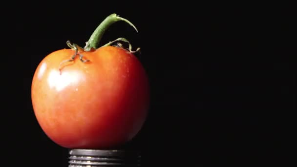 Zeitlupe Der Abgeschossenen Tomate — Stockvideo