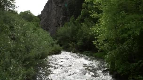 在犹他州峡谷中被树木包围的河流上游飞行 — 图库视频影像