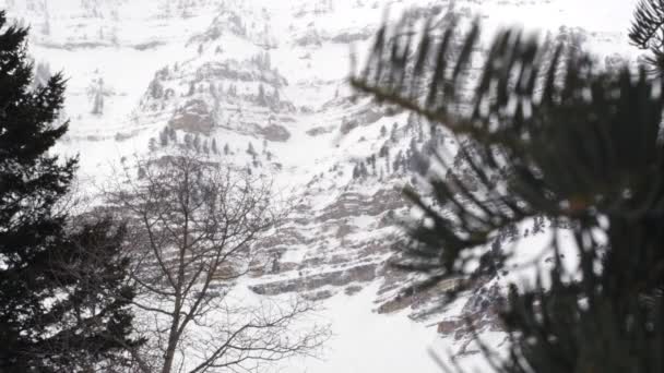 Vista Penhascos Cobertos Neve Montanha Após Galhos Pinheiros — Vídeo de Stock