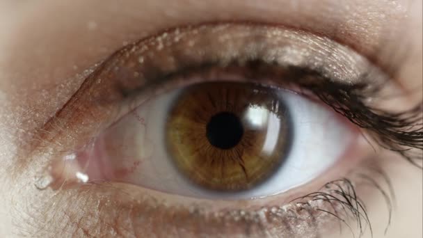 Zblízka Pohled Ženskou Oční Záběr Pod Studiovým Osvětlením — Stock video
