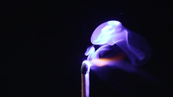 파란색 레이저 포인터로 천천히 점등되는 — 비디오