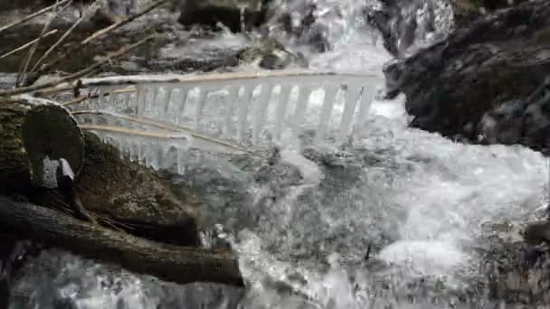 在小溪的分支上看冰柱 因为水流 — 图库视频影像
