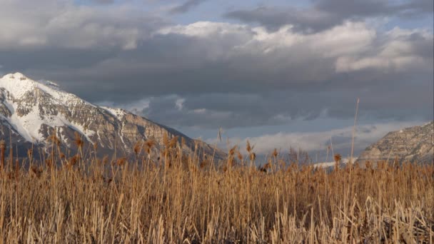在积雪覆盖的山脉和罗望尖草田上缓慢移动的云 — 图库视频影像