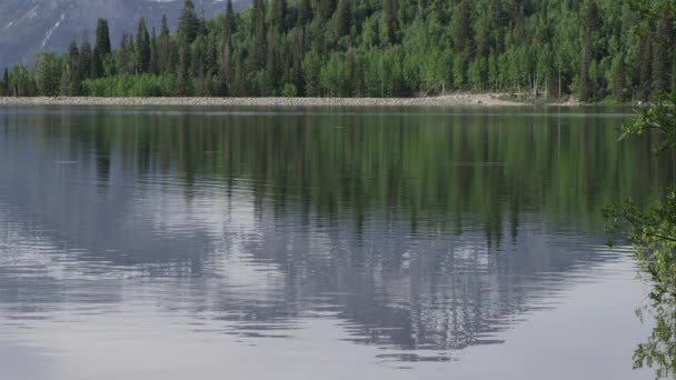 Utah Gölü Ndeki Dağ Yansıması Ormanın Manzarası — Stok video