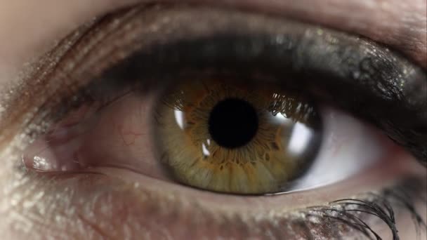 Vista Macro Del Ojo Mujer Parpadeando Bajo Iluminación Del Estudio — Vídeo de stock