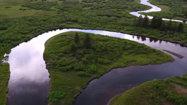 Voando Para Longe Rio Sinuoso Sobre Floresta — Vídeo de Stock