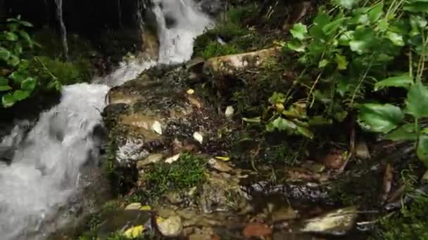 Schwenken Eines Kleinen Baches Rieselt Mit Dem Schieberegler — Stockvideo