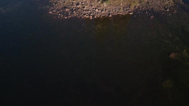 Blick Nach Unten Beim Flug Über Den See Kiefern Vorbei — Stockvideo