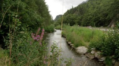 Alaska'da bir kanaldan aşağıya bakan statik görünüm