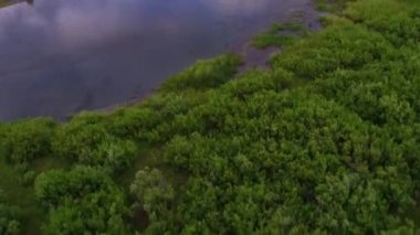 Montana'da fırça ve nehrin üzerinde alçaktan uçmak.