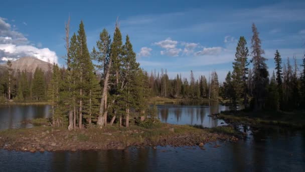 Panning Melihat Pohon Pinus Masa Lalu Danau Uinta Mouintains — Stok Video