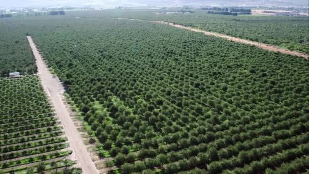 Vue du verger d'en haut dans l'Utah .