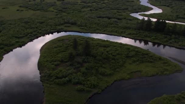Volando Lentamente Hacia Atrás Del Otro Lado Del Río Bosque — Vídeos de Stock