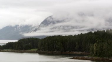 Alaska'daki ağaçların ve adadaki ağaçların görünümü geçerken tekneden görüntülendi.