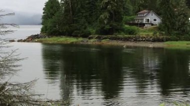 Alaska'da ağaçların arkasında rıhtımda yukarı pan görüntüleme evi.
