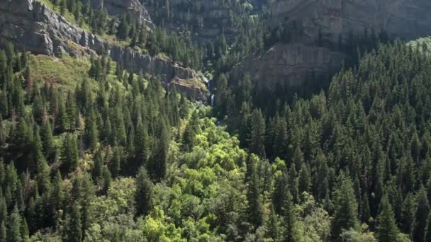 Vista Crescente Del Lato Verde Delle Montagne Con Cascata — Video Stock