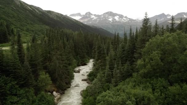 Panning Vista Rio Que Flui Através Floresta Alasca — Vídeo de Stock