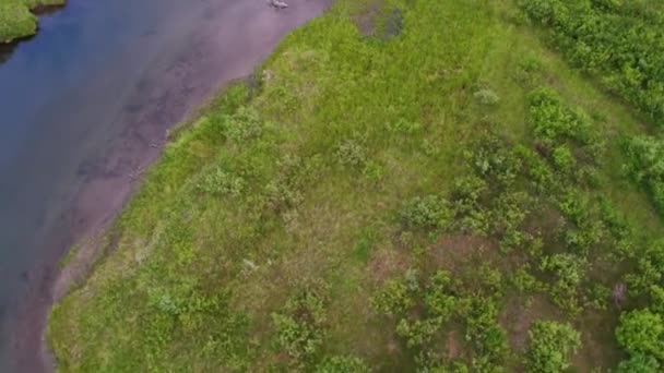 Flug Über Gewundenen Fluss Nach Unten — Stockvideo